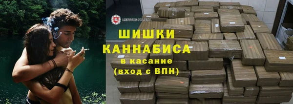 индика Белокуриха