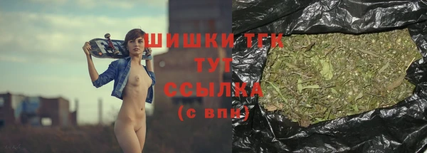 индика Белокуриха