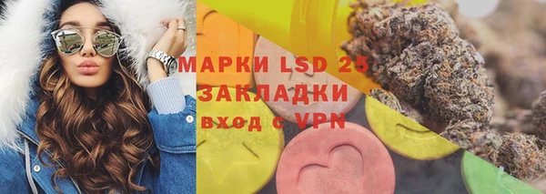 индика Белокуриха