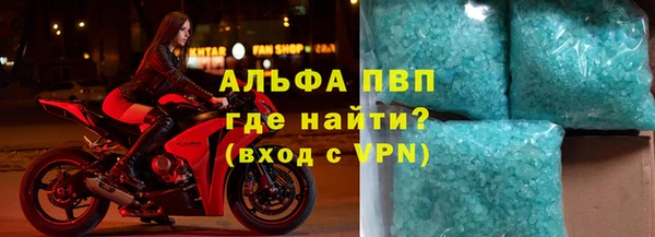индика Белокуриха