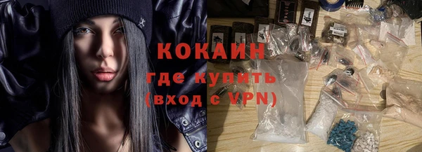 индика Белокуриха
